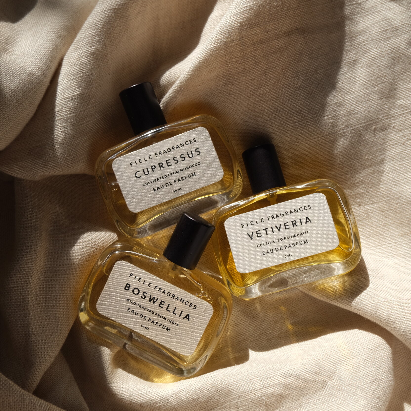 Fiele Fragrances - BOSWELLIA Eau de Parfum | CAPSULE PARFUMERIE